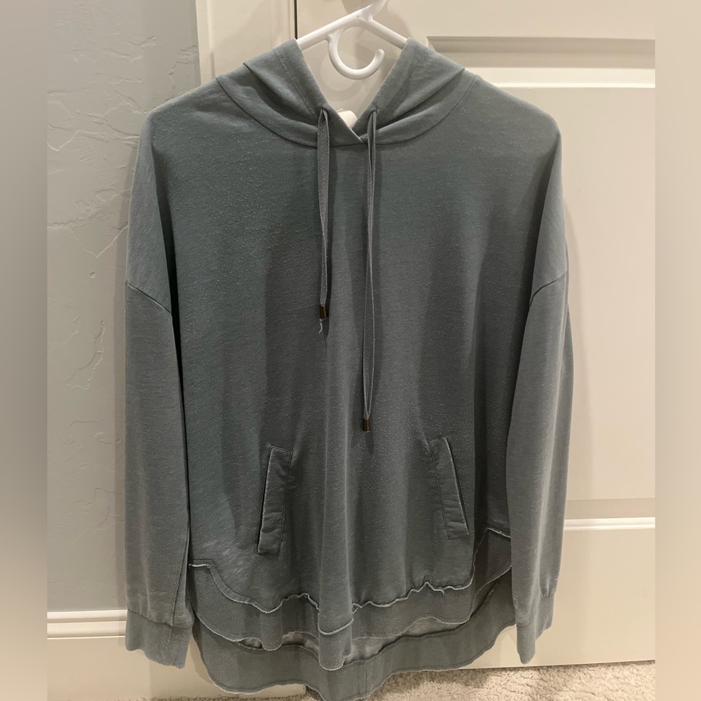 Altard State distressed hoodie